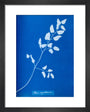 Cyanotype of Pteris sagittaria, 1853. art print extra small black Art Print - Science Museum Shop