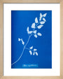 Cyanotype of Pteris sagittaria, 1853. art print extra small natural Art Print - Science Museum Shop