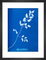 Cyanotype of Pteris sagittaria, 1853. art print small black Art Print - Science Museum Shop