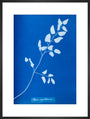 Cyanotype of Pteris sagittaria, 1853. art print large black Art Print - Science Museum Shop