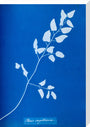 Cyanotype of Pteris sagittaria, 1853. stretched canvas large none Art Print - Science Museum Shop