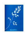 Cyanotype of Pteris sagittaria, 1853. unstretched canvas small none Art Print - Science Museum Shop