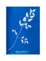 Cyanotype of Pteris sagittaria, 1853. art print large none Art Print - Science Museum Shop