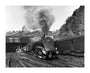 'Silver Link' leaving Edinburgh Waverley Station, 1958. unstretched canvas extra large none Art Print - Science Museum Shop