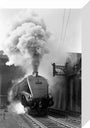 Woodcock', A4 Class steam locomotive No 60029 c.1954 stretched canvas small none Art Print - Science Museum Shop