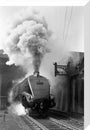 Woodcock', A4 Class steam locomotive No 60029 c.1954 stretched canvas medium none Art Print - Science Museum Shop