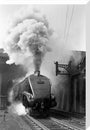 Woodcock', A4 Class steam locomotive No 60029 c.1954 stretched canvas large none Art Print - Science Museum Shop