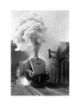 Woodcock', A4 Class steam locomotive No 60029 c.1954 art print extra large none Art Print - Science Museum Shop