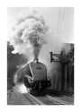 Woodcock', A4 Class steam locomotive No 60029 c.1954 unstretched canvas extra large none Art Print - Science Museum Shop