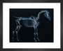 Tab I: Horse Skeleton, side view. Inverted image. art print extra small black Art Print - Science Museum Shop