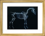 Tab I: Horse Skeleton, side view. Inverted image. art print extra small gold Art Print - Science Museum Shop
