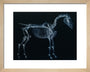 Tab I: Horse Skeleton, side view. Inverted image. art print extra small natural Art Print - Science Museum Shop