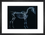 Tab I: Horse Skeleton, side view. Inverted image. art print small black Art Print - Science Museum Shop