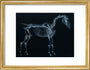 Tab I: Horse Skeleton, side view. Inverted image. art print small gold Art Print - Science Museum Shop