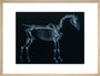 Tab I: Horse Skeleton, side view. Inverted image. art print medium natural Art Print - Science Museum Shop