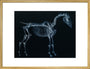Tab I: Horse Skeleton, side view. Inverted image. art print large gold Art Print - Science Museum Shop