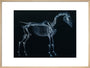 Tab I: Horse Skeleton, side view. Inverted image. art print large natural Art Print - Science Museum Shop