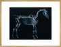 Tab I: Horse Skeleton, side view. Inverted image. art print extra large gold Art Print - Science Museum Shop