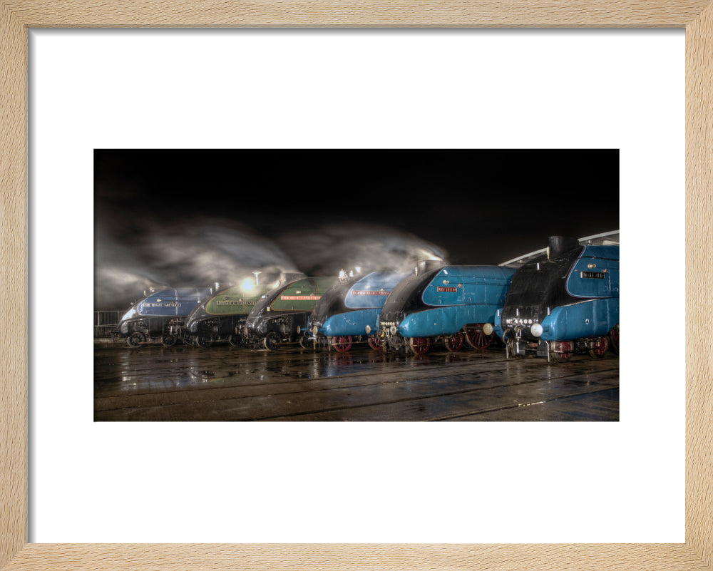A-4 Class locomotives at the Great Gathering/ Great Goodbye in the National Railway Museum Shildon, 2014. art print extra small natural Art Print - Science Museum Shop