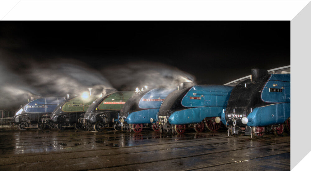 A-4 Class locomotives at the Great Gathering/ Great Goodbye in the National Railway Museum Shildon, 2014. stretched canvas small none Art Print - Science Museum Shop