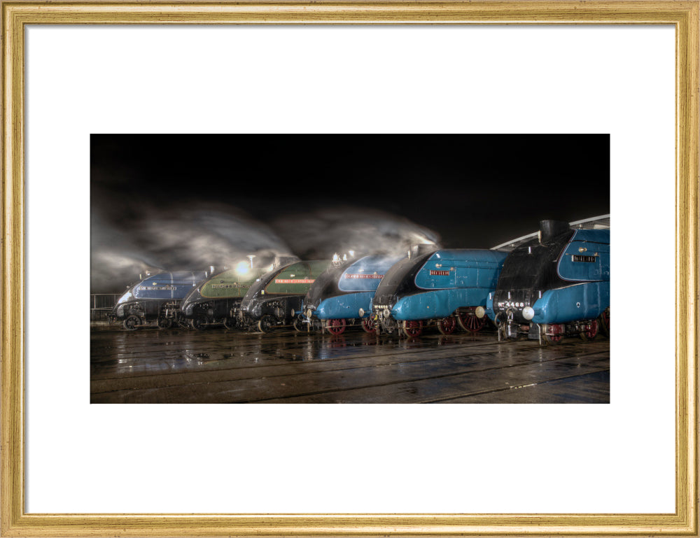 A-4 Class locomotives at the Great Gathering/ Great Goodbye in the National Railway Museum Shildon, 2014. art print medium gold Art Print - Science Museum Shop
