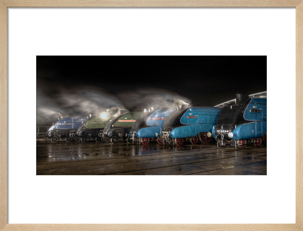 A-4 Class locomotives at the Great Gathering/ Great Goodbye in the National Railway Museum Shildon, 2014. art print medium natural Art Print - Science Museum Shop