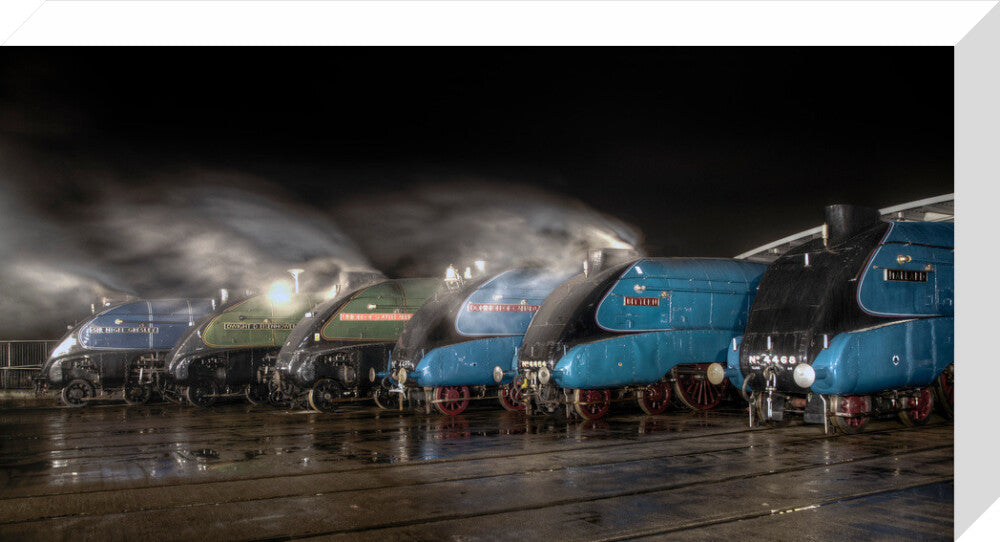 A-4 Class locomotives at the Great Gathering/ Great Goodbye in the National Railway Museum Shildon, 2014. stretched canvas medium none Art Print - Science Museum Shop