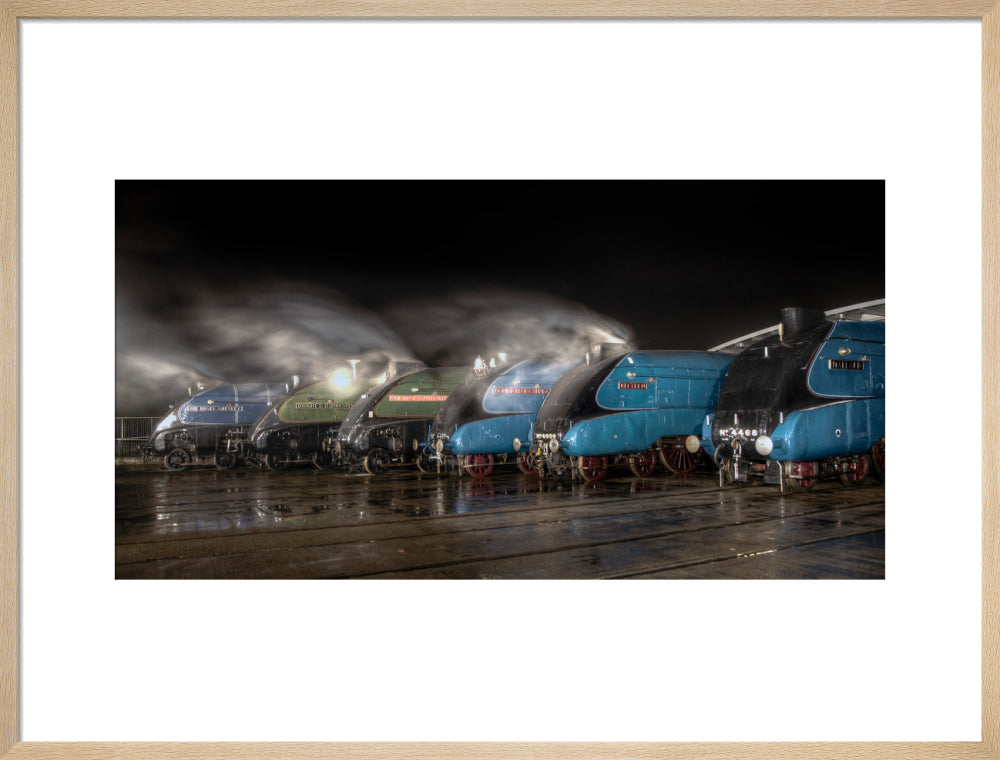 A-4 Class locomotives at the Great Gathering/ Great Goodbye in the National Railway Museum Shildon, 2014. art print large natural Art Print - Science Museum Shop