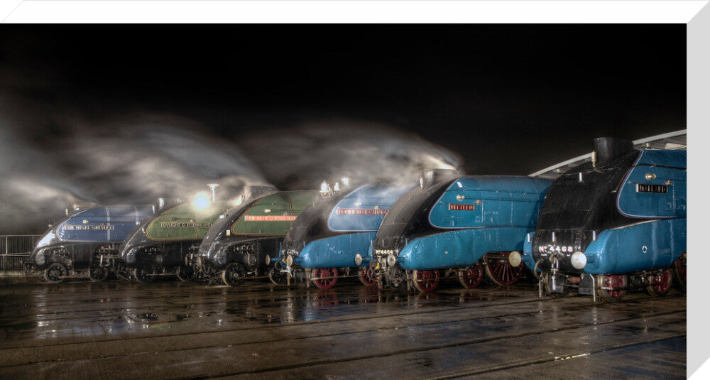 A-4 Class locomotives at the Great Gathering/ Great Goodbye in the National Railway Museum Shildon, 2014. stretched canvas large none Art Print - Science Museum Shop