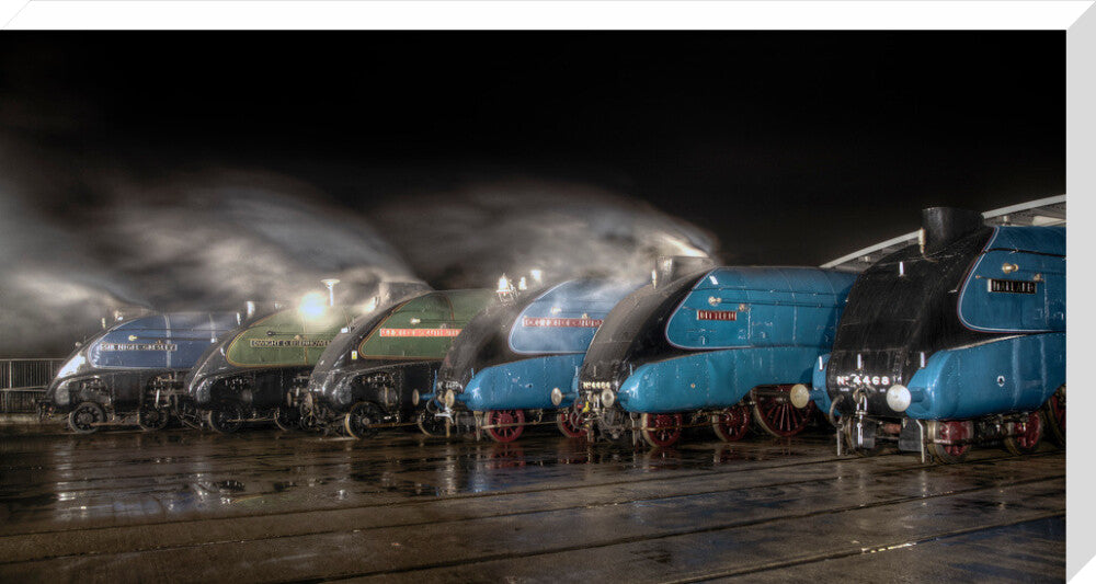 A-4 Class locomotives at the Great Gathering/ Great Goodbye in the National Railway Museum Shildon, 2014. stretched canvas extra large none Art Print - Science Museum Shop