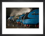 A-4 Class locomotives at the Great Gathering/ Great Goodbye in the National Railway Museum Shildon, 2014. art print extra small black Art Print - Science Museum Shop