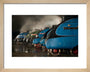 A-4 Class locomotives at the Great Gathering/ Great Goodbye in the National Railway Museum Shildon, 2014. art print extra small natural Art Print - Science Museum Shop