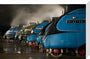 A-4 Class locomotives at the Great Gathering/ Great Goodbye in the National Railway Museum Shildon, 2014. stretched canvas medium none Art Print - Science Museum Shop