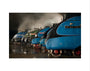 A-4 Class locomotives at the Great Gathering/ Great Goodbye in the National Railway Museum Shildon, 2014. art print extra small none Art Print - Science Museum Shop
