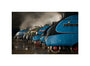A-4 Class locomotives at the Great Gathering/ Great Goodbye in the National Railway Museum Shildon, 2014. unstretched canvas small none Art Print - Science Museum Shop