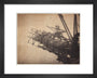 'Forth Bridge Cage For Building Bottom Member', 1887 art print extra small black Art Print - Science Museum Shop