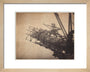 'Forth Bridge Cage For Building Bottom Member', 1887 art print extra small natural Art Print - Science Museum Shop