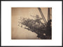 'Forth Bridge Cage For Building Bottom Member', 1887 art print extra large black Art Print - Science Museum Shop