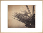 'Forth Bridge Cage For Building Bottom Member', 1887 art print extra large natural Art Print - Science Museum Shop