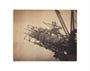 'Forth Bridge Cage For Building Bottom Member', 1887 art print extra small none Art Print - Science Museum Shop