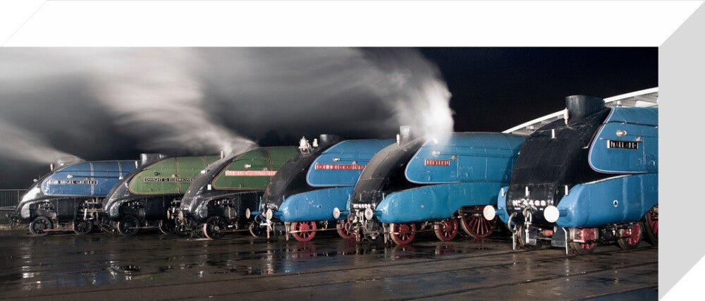 A-4 Class locomotives at the Great Gathering Great Goodbye in the National Railway Museum Shildon, 2014. stretched canvas small none Art Print - Science Museum Shop