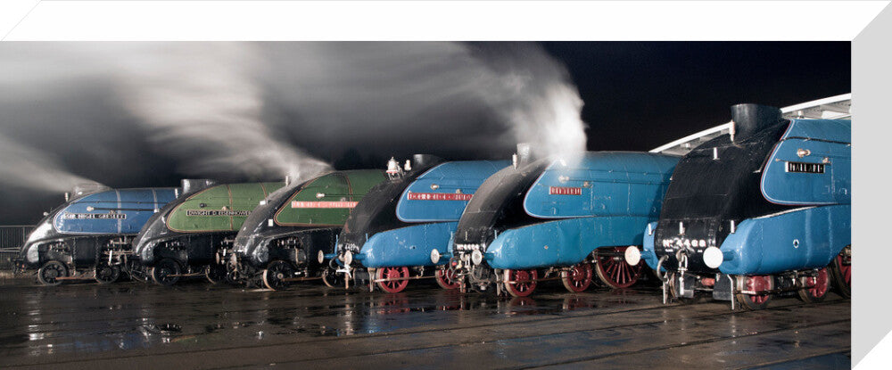 A-4 Class locomotives at the Great Gathering Great Goodbye in the National Railway Museum Shildon, 2014. stretched canvas medium none Art Print - Science Museum Shop