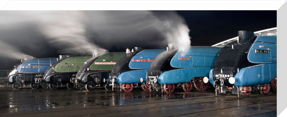 A-4 Class locomotives at the Great Gathering Great Goodbye in the National Railway Museum Shildon, 2014. stretched canvas large none Art Print - Science Museum Shop