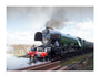 Flying Scotsman locomotive leaving the National Railway Museum, 2016. unstretched canvas extra large none Art Print - Science Museum Shop