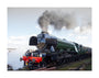 Flying Scotsman locomotive leaving the National Railway Museum, 2016. unstretched canvas large none Art Print - Science Museum Shop