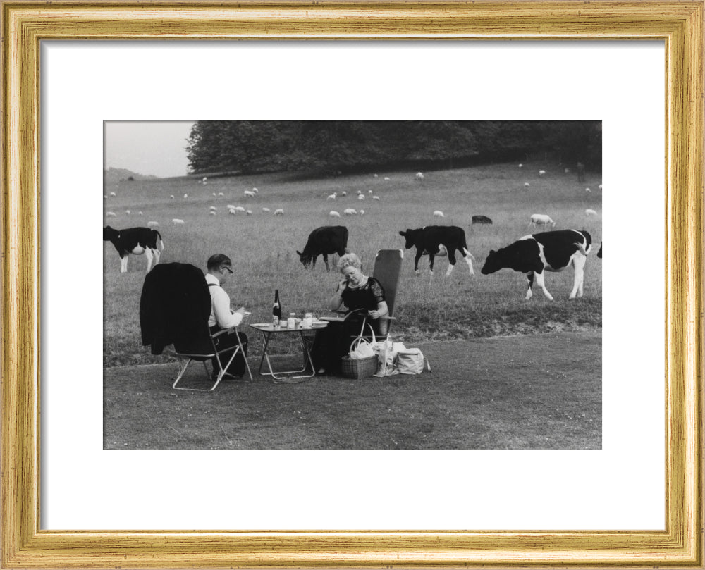 Glyndebourne art print extra small gold Art Print - Science Museum Shop