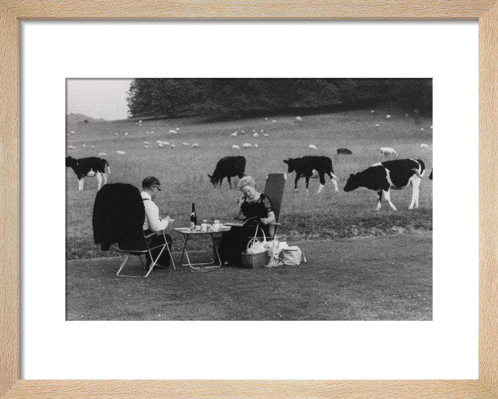 Glyndebourne art print extra small natural Art Print - Science Museum Shop