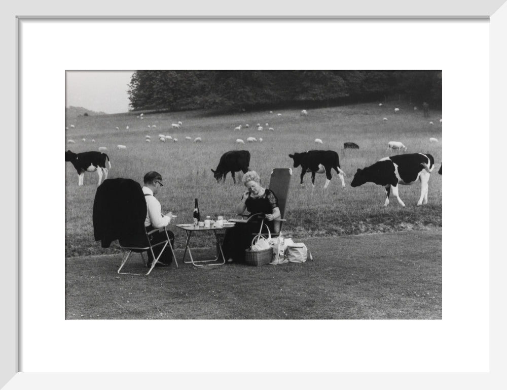 Glyndebourne art print small white Art Print - Science Museum Shop