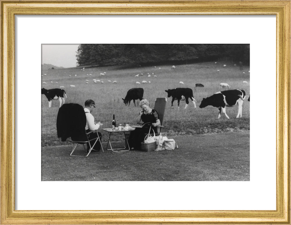 Glyndebourne art print small gold Art Print - Science Museum Shop