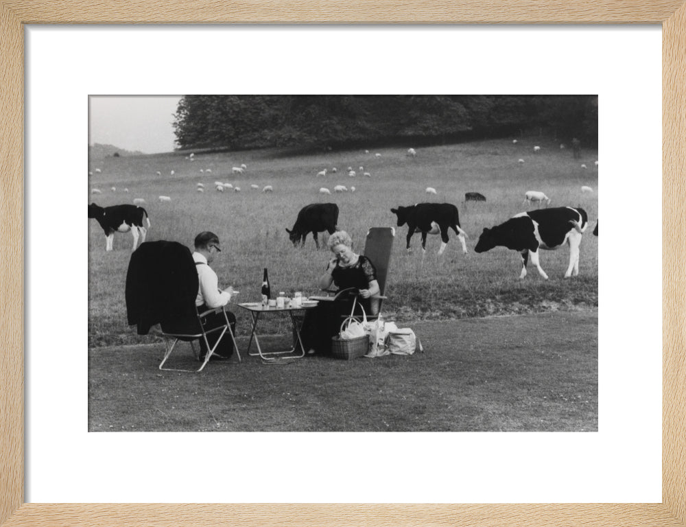 Glyndebourne art print small natural Art Print - Science Museum Shop